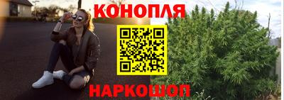 гидропоника Берёзовский