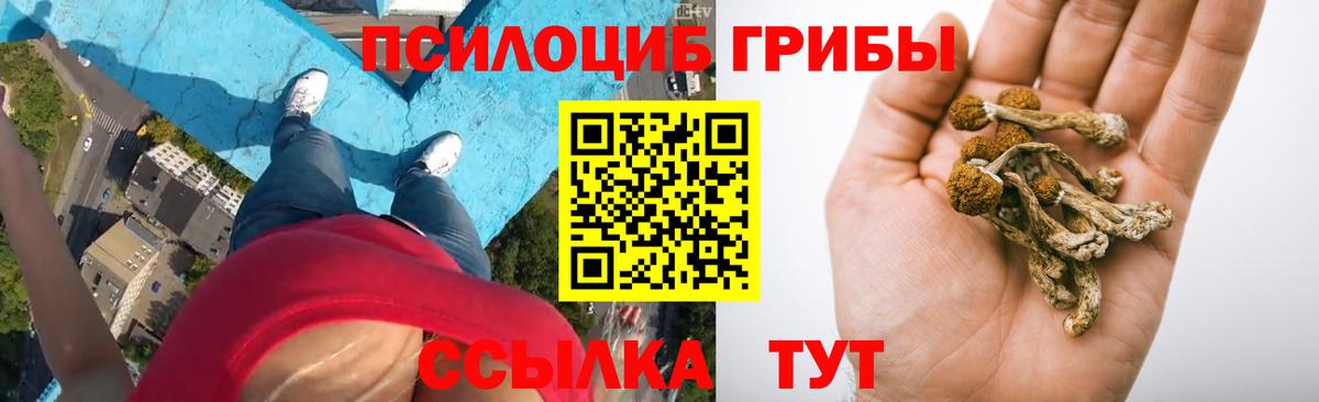 Галлюциногенные грибы GOLDEN TEACHER Зеленогорск
